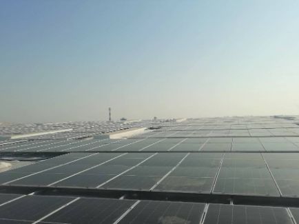 beat·365(中国)唯一官方网站