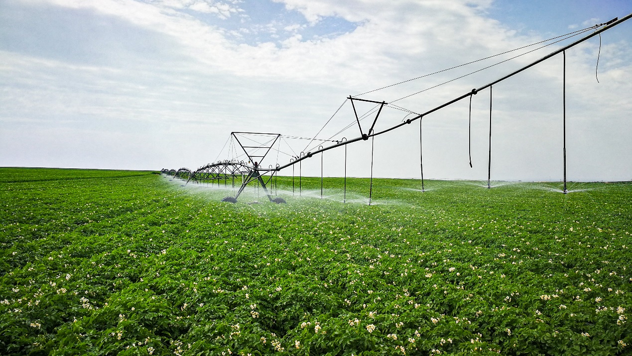 beat·365(中国)唯一官方网站